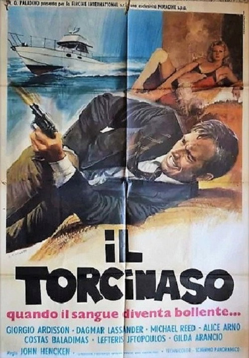 Movie poster for Il torcinaso (1975)