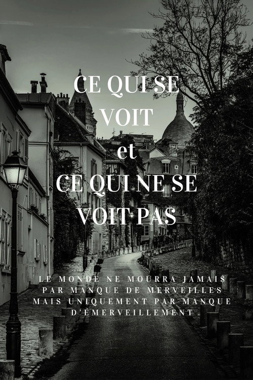 Movie poster for Ce qui se voit et ce qui ne se voit pas (2024)