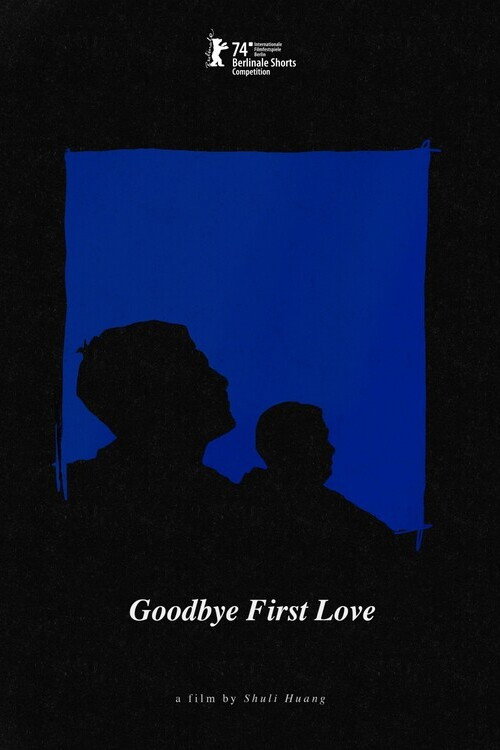 Movie poster for Goodbye First Love (2024)