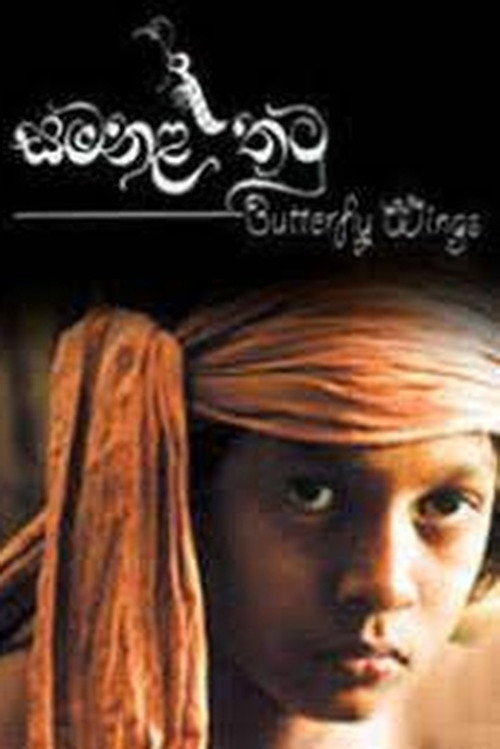 Movie poster for Butterfly Wings (2005)