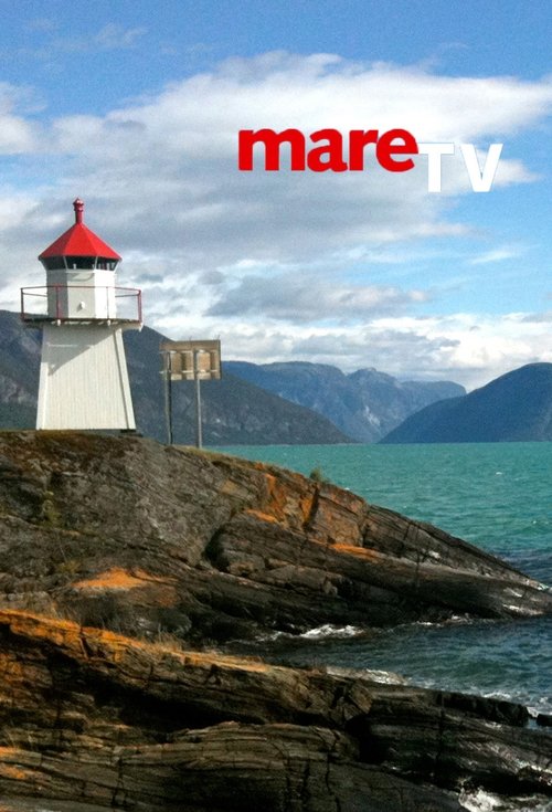 Series poster for mare TV (2001)