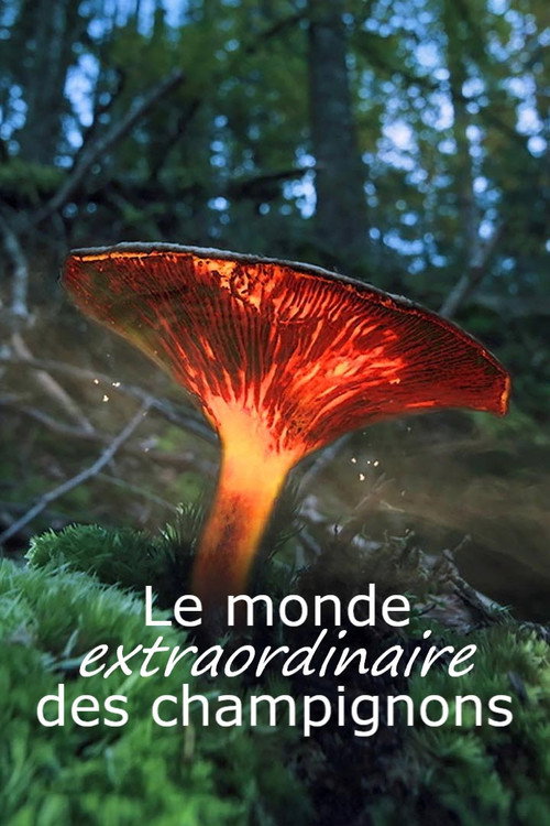 Movie poster for Le monde extraordinaire des champignons (2023)