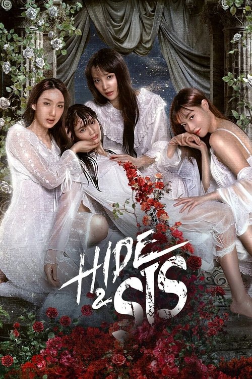Hide & Sis poster