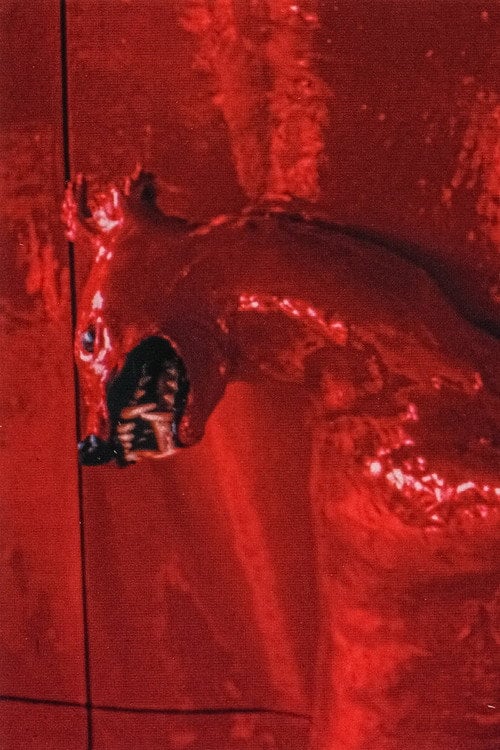 Movie poster for A Red Score in Tile (2003)