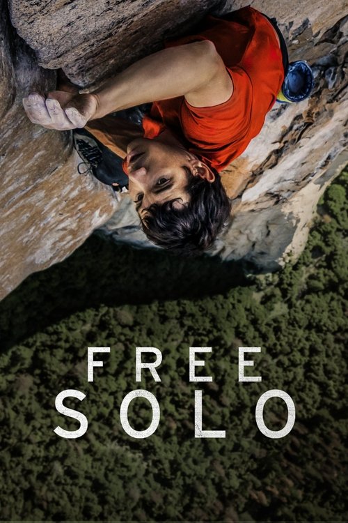 Movie poster for Free Solo (2018)