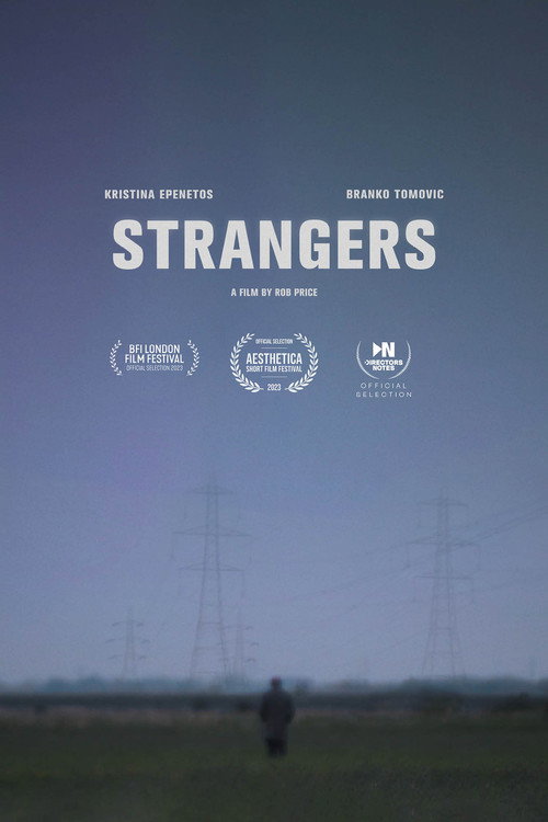 Movie poster for Strangers (2023)