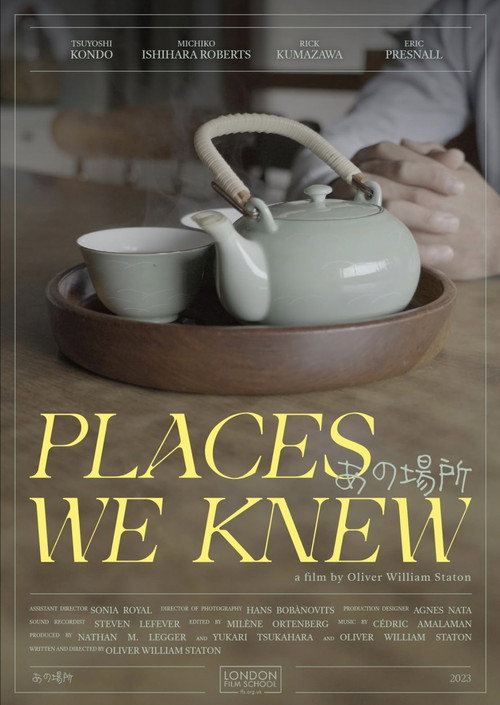 Movie poster for Places We Knew (2024)