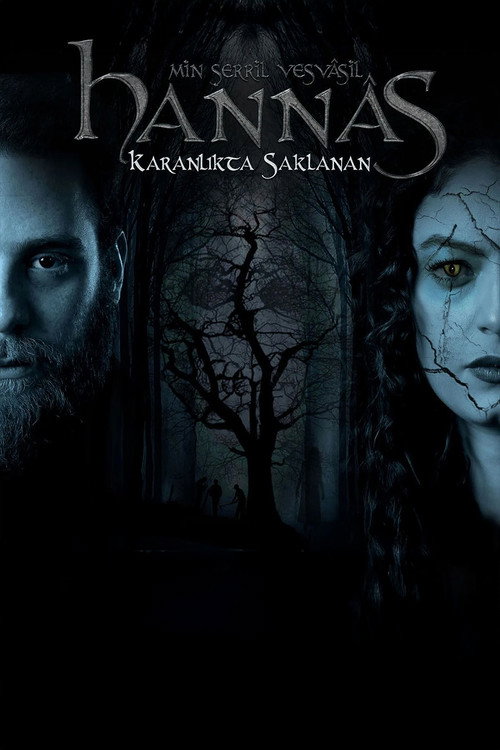 Movie poster for Hannas: Karanlıkta Saklanan (2015)