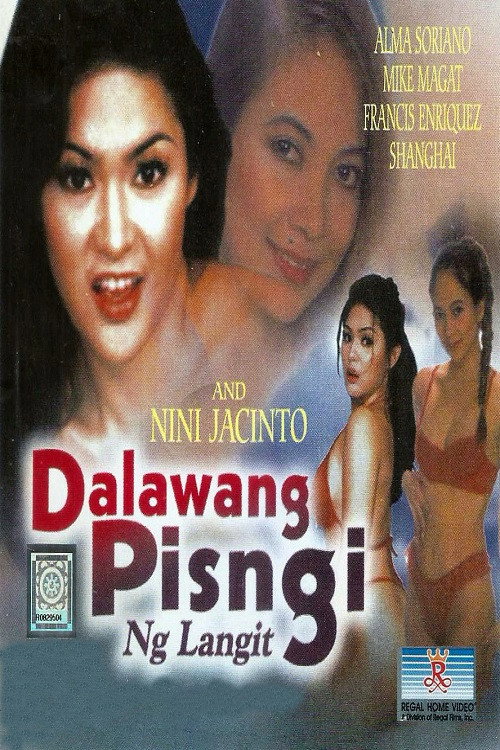 Movie poster for Dalawang Pisngi ng Langit (2001)