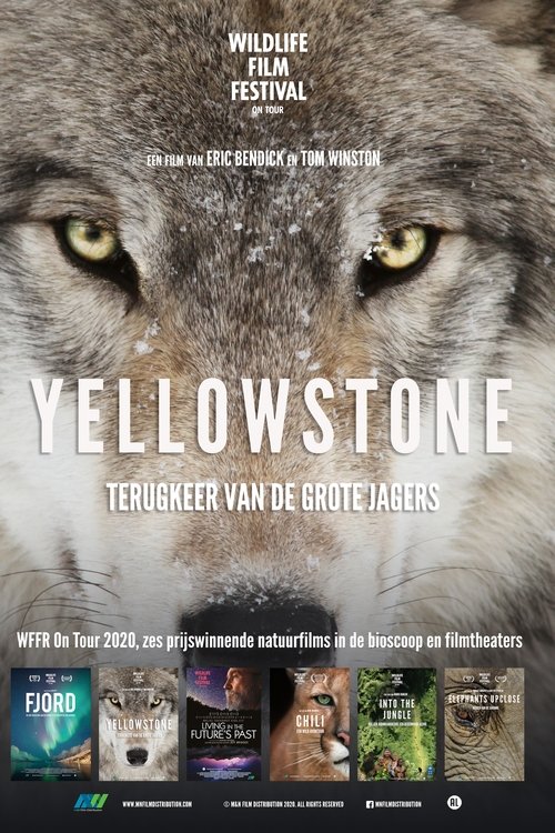 Movie poster for Yellowstone (2020)