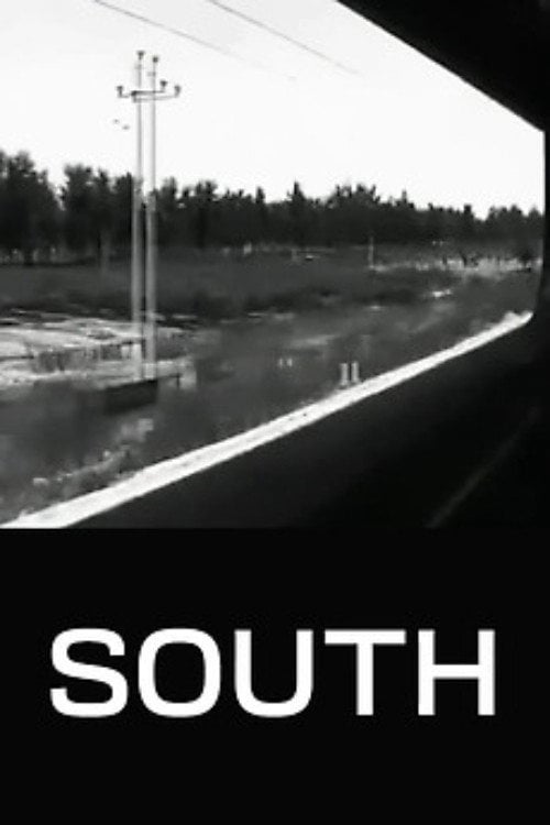 Movie poster for South (2010)