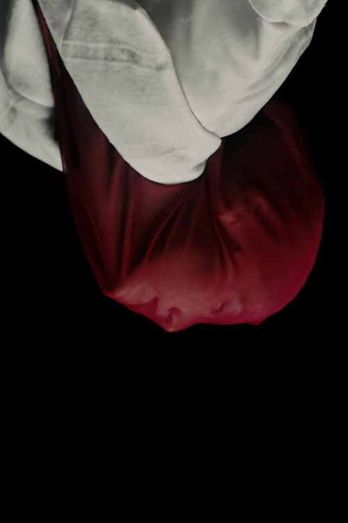 Movie poster for It Is Not Spring, Until All Flowers Blossom (2023)