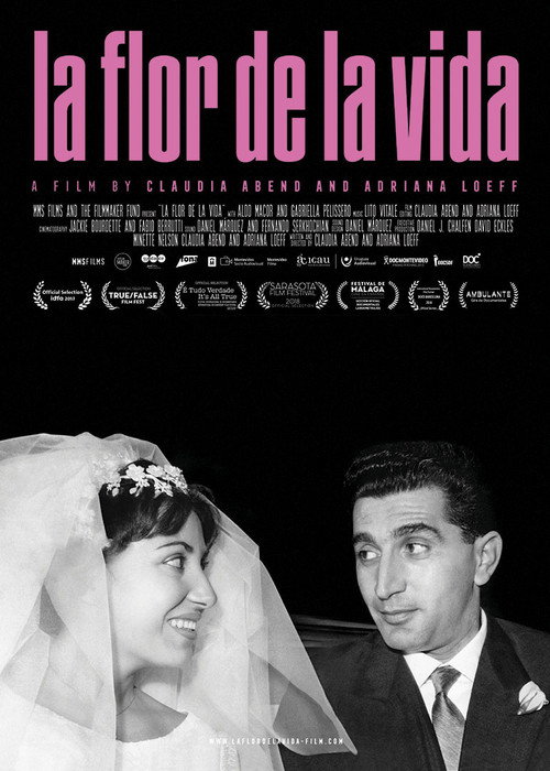 Movie poster for La Flor de la Vida (2017)