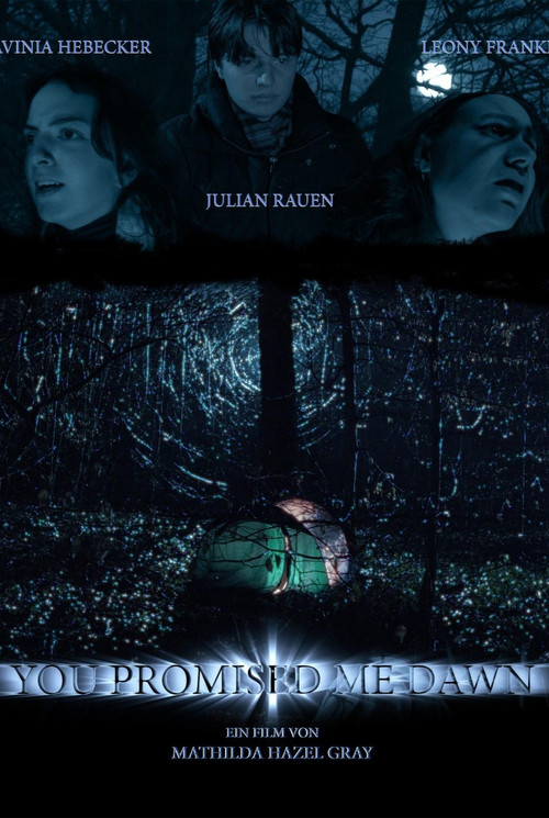 Movie poster for You Promised Me Dawn (2026)