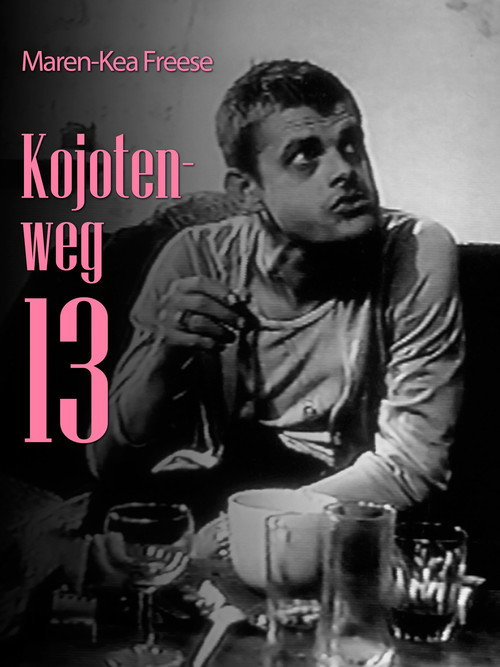 Movie poster for Kojotenweg 13 (1996)
