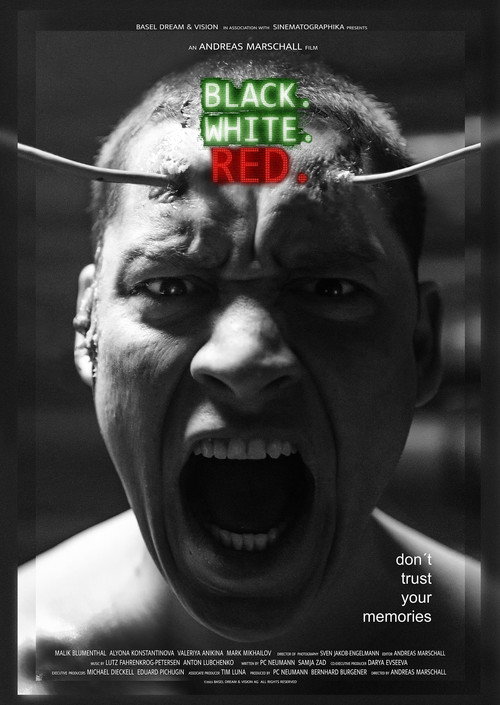 Movie poster for Black.White.Red. (2024)