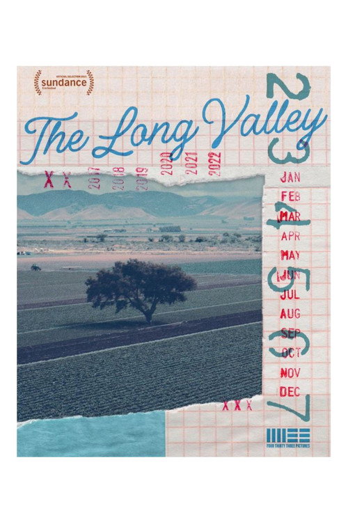 Movie poster for The Long Valley (2025)