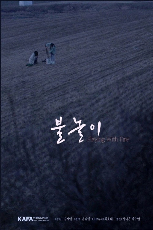 Movie poster for Playing with Fire (2018)