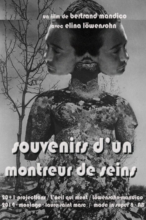Movie poster for Memories of a Boobs Flasher (2014)