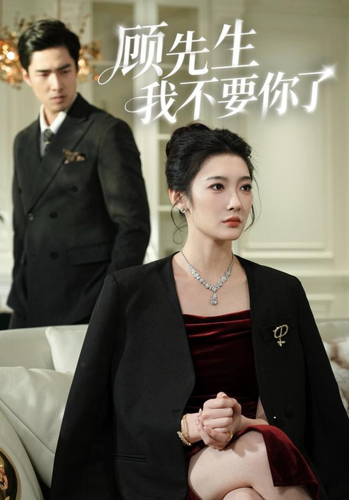 顾先生我不要你了 poster