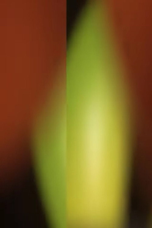 Movie poster for Stretch and Pull (2014)
