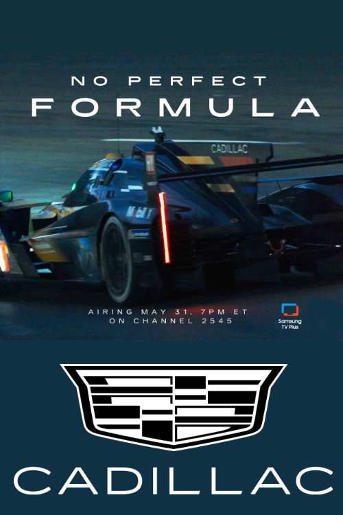 Movie poster for No Perfect Formula (2024)