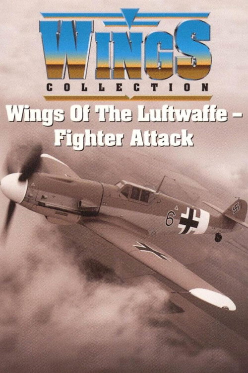 Wings of the Luftwaffe poster