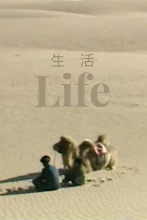Movie poster for Life (1995)