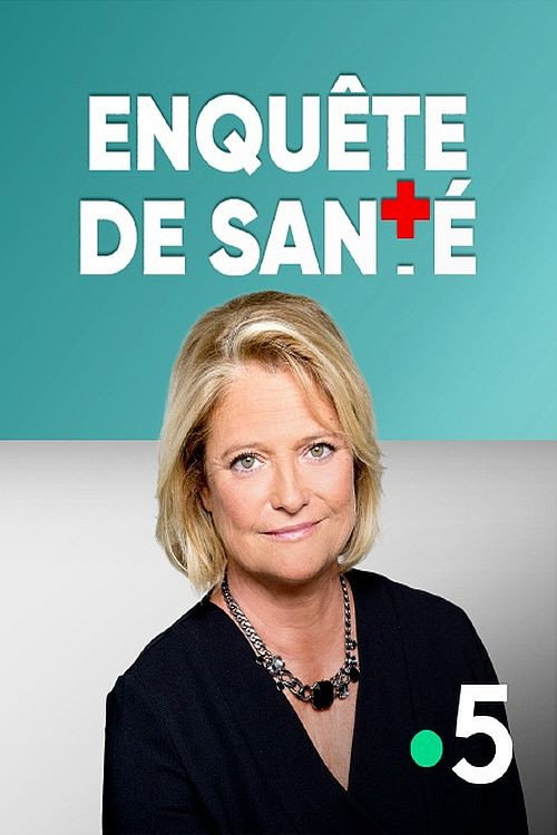 Series poster for Enquête de santé (2005)
