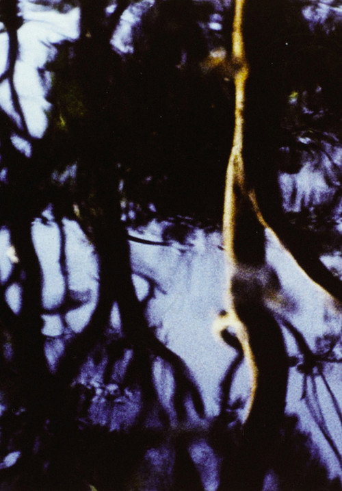 Movie poster for Corporeal (1983)