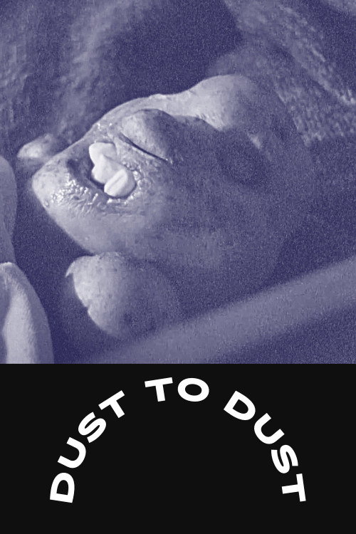 Movie poster for Dust To Dust