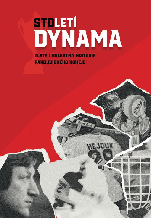 Movie poster for Století Dynama (2024)