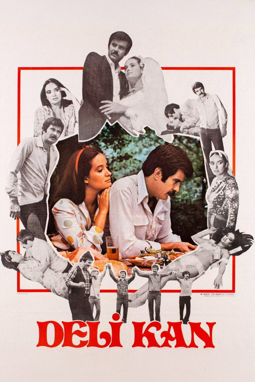 Movie poster for Deli Kan (1981)