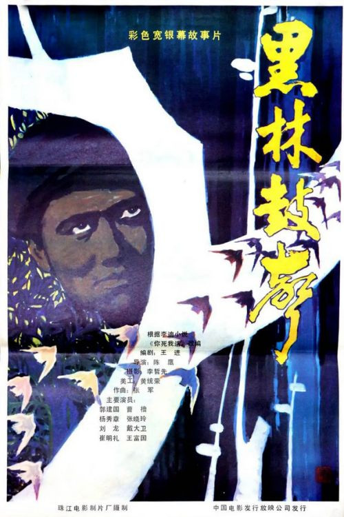 Movie poster for Hei lin gu sheng (1985)