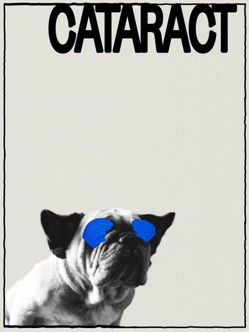 Movie poster for Cataract (2021)