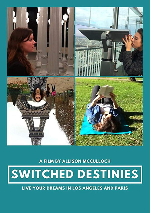 Movie poster for Switched Destinies (2015)