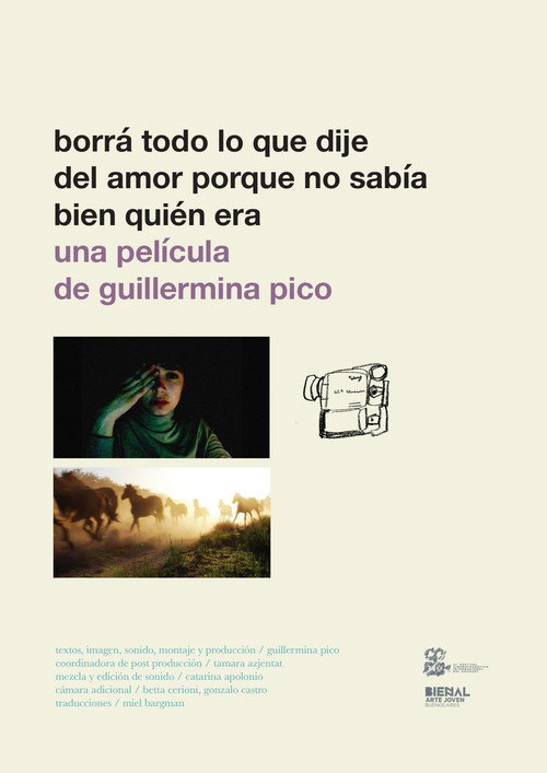 Movie poster for Borrá todo lo que dije del amor porque no sabía bien quién era (2016)
