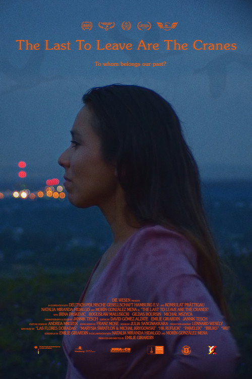 Movie poster for The Last to Leave Are the Cranes (2020)