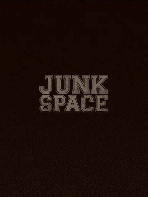 Movie poster for Junk Space (2010)