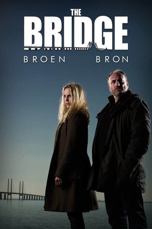 The Bridge poster