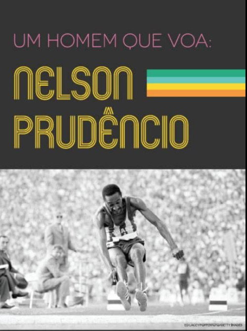Movie poster for Um Homem que Voa: Nelson Prudêncio (2013)