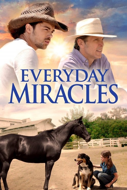 Movie poster for Everyday Miracles (2015)
