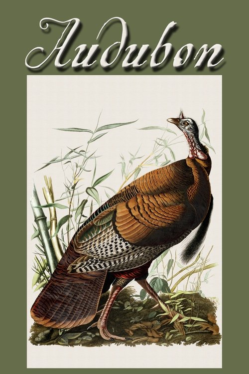 Movie poster for Audubon (2017)