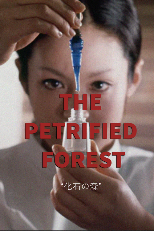 Movie poster for The Petrified Forest (1973)