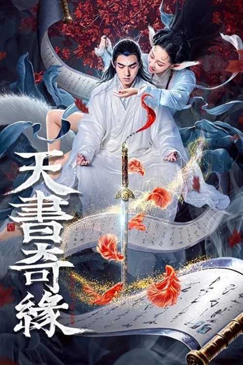 Movie poster for Sky Book Romance (2020)