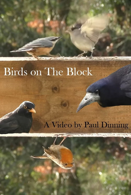 Movie poster for Birds on The Block (2023)