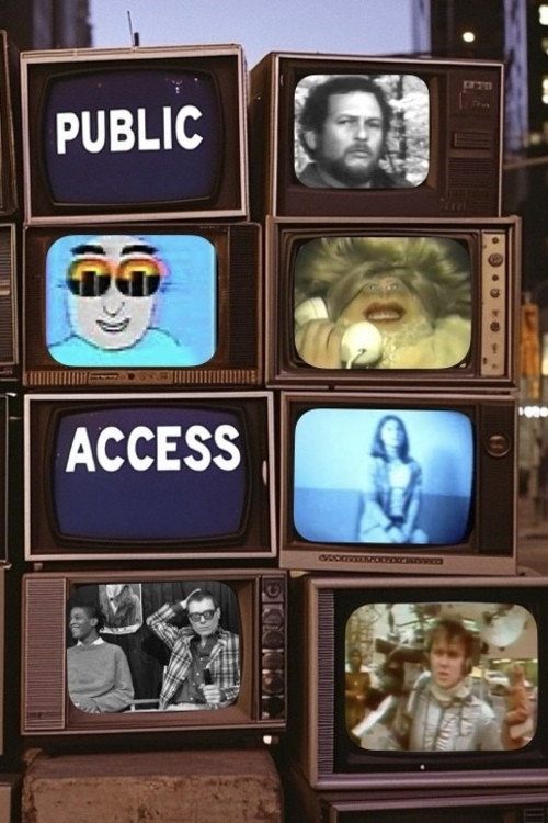 Movie poster for Public Access (2026)