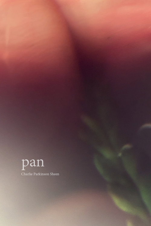 Movie poster for Pan
