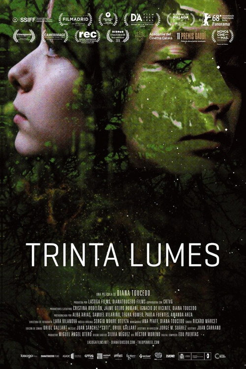 Movie poster for Thirty Souls (2017)