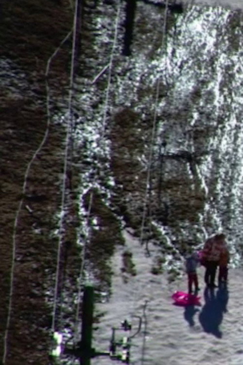 Movie poster for A Dream of Snow (2014)